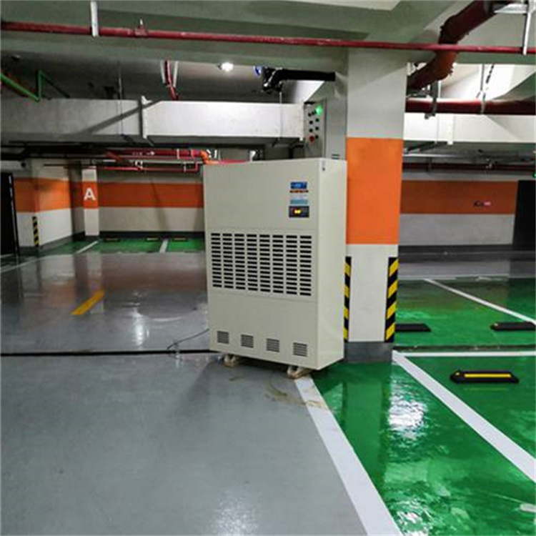 畹町夏季防潮除湿设备-抽湿器