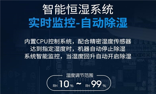 今年浙江何时开始梅雨季？如何有效应对潮湿环境？