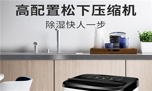 抛光车间干燥用大功率吸湿机