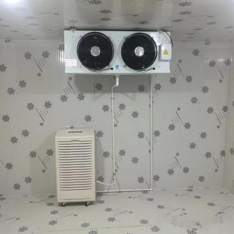食品厂用ZCK40-70地下工程调温除湿机组