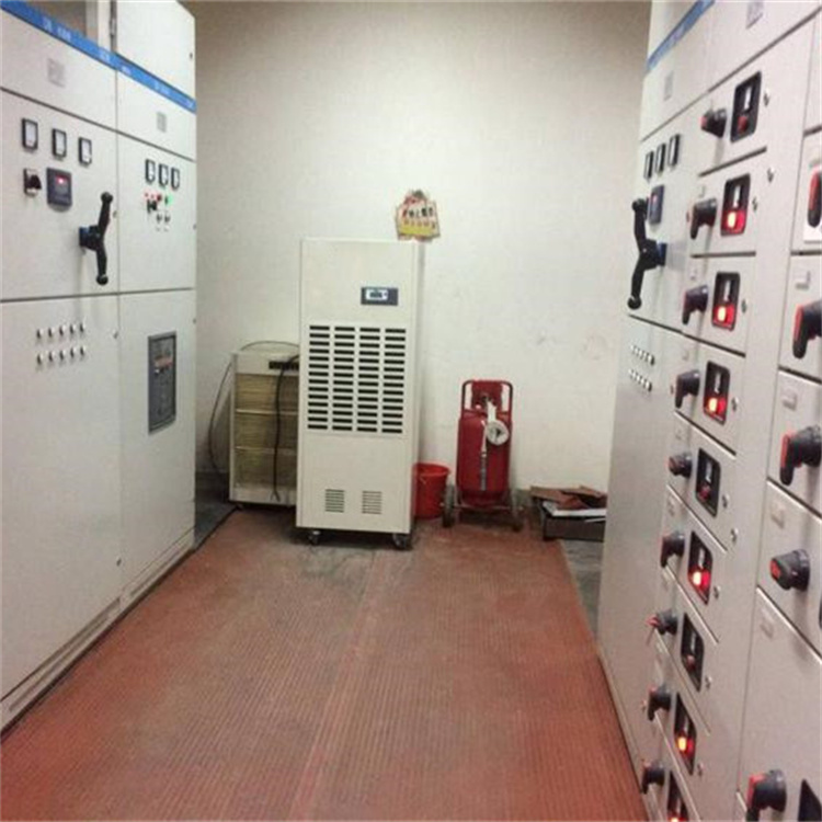 揭秘青菜保鲜库：如何用专业除湿机守护品质与效益